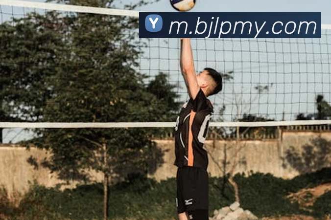 百家乐网站服务体系